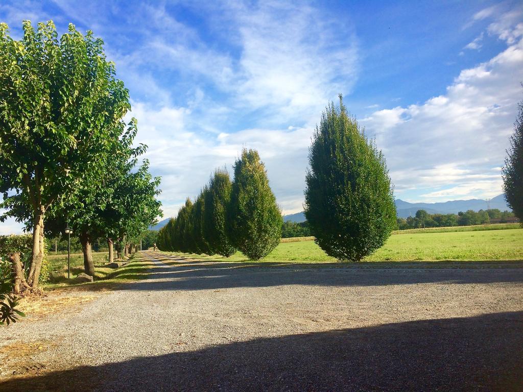 Agriturismo Ca Del Lupo Pallazzolo sull'Oglio Exterior photo