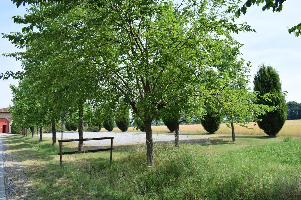 Agriturismo Ca Del Lupo Pallazzolo sull'Oglio Exterior photo